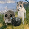 Cricetino Sad Hamster 21