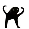 Michis random 😼😵‍💫 13
