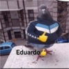 COMPRIMENTE E REAJA 8