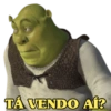 SHREK DIFERENCIADO 🤣 14