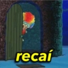 20
recaí