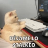 DÉJAME LO
STALKEO
NEW