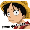 One piece indonesia 24