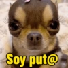 Soy put@
