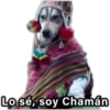 Lo sé, soy Chamán