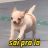 sai pra lá