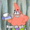 Patrick 12