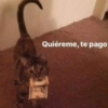 Quiéreme, te pago