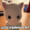 ¿Estás orgulloso de mi?