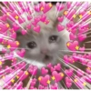 Só am💖r 11