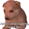 🐶Cheems Bebé🍼 20