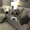 Cricetino Sad Hamster 26