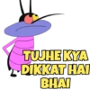 TUJHE KYA
DIKKAT HAI
BHAI