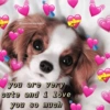 Wholesome 5