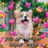 Wholesome 6