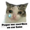 Super tiernos ❤️ 6