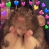 Amor reações  11