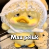 Upset Duck 11