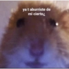 Memes de pelos  7