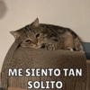 ME SIENTO TAN
SOLITO