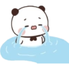 Panda lucu  9