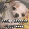 senti o deboche
daqui kkkk