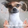 Memes de pelos  6