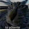 ta potente