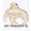ysi noquiero q