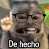 Changuitos Reacciones! 🐵🐒 7