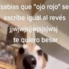 Cuadraditos pa usté 25