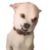 Enojado 8