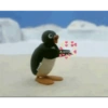 Pingu apaixonado 💕 11