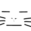 My cat 7