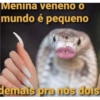 Nájila, a heroína de bsb 23