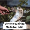 Nájila, a heroína de bsb 26