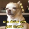 Manda para os amig... 11