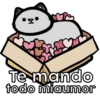 Michis del amor 💕🐱 9