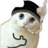 Gatos coringa 15