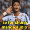 MERIVES SEARA NETSHOE se for chorar manda áudio