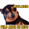 Miga 10