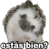 geysioy estás bien?