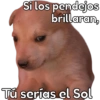 🐶Cheems Bebé🍼 6