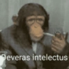 Deveras intelectus
