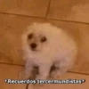 Shitpost Random 😎😉2 15