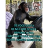 Bomdia 22