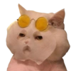 Memeando con estilo 14
