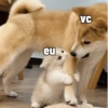 eu VC