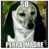 Stickers que necesitas :) 12