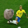 Neymar Jr⚽️ 14